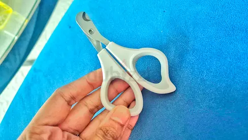 ✂️ONLY 10 dh💥 Cat nail clippers