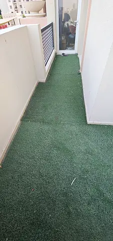 Artificial Grass