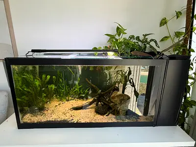 Aquarium with full set up