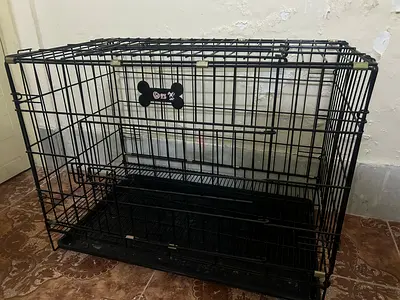 One big cat cage