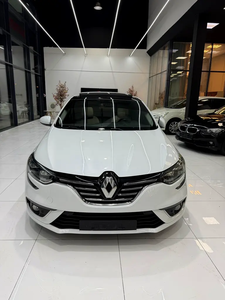 Renault Megane 2019 — photo 1 of 8