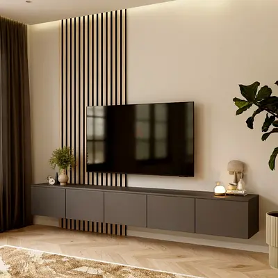 Modern Wall Mounted Entertainment Center