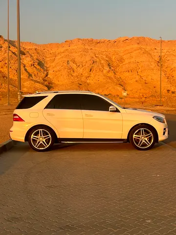 2015 Mercedes-BENZ M-CLASS 照片 9