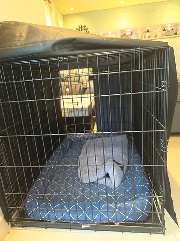 Foldable Metal Pet Crate for Dogs  Cats - Size L (Good Condition) - 400 AED