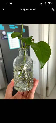 Small clear glass bud vase — twisted design, perfect for single stems