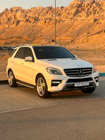 2015 Mercedes-BENZ M-CLASS 照片 4