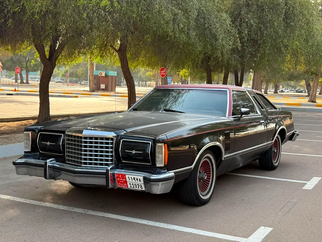 Ford Thunderbird 1978 — photo 1 of 20