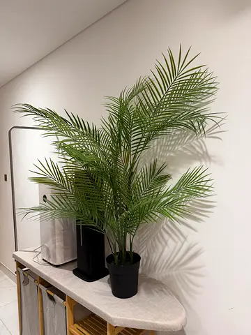 Fake palm plant