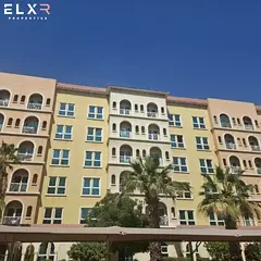 Spacious 1-Bedroom Apartment | Excellent Investment | Family-Friendly Community