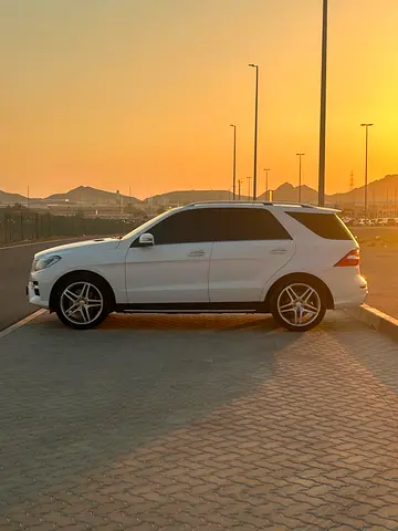 2015 Mercedes-BENZ M-CLASS 照片 10