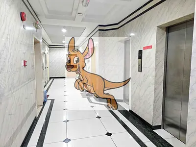 Appartment For Rent