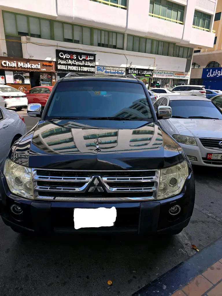 Mitsubishi Pajero 2009 — photo 1 of 8