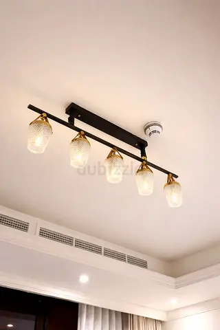 Five-Light Ceiling Track Fixture with Glass Shades (Black  Brass)