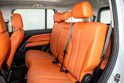Haval H9 Dignity, миниатюра 18