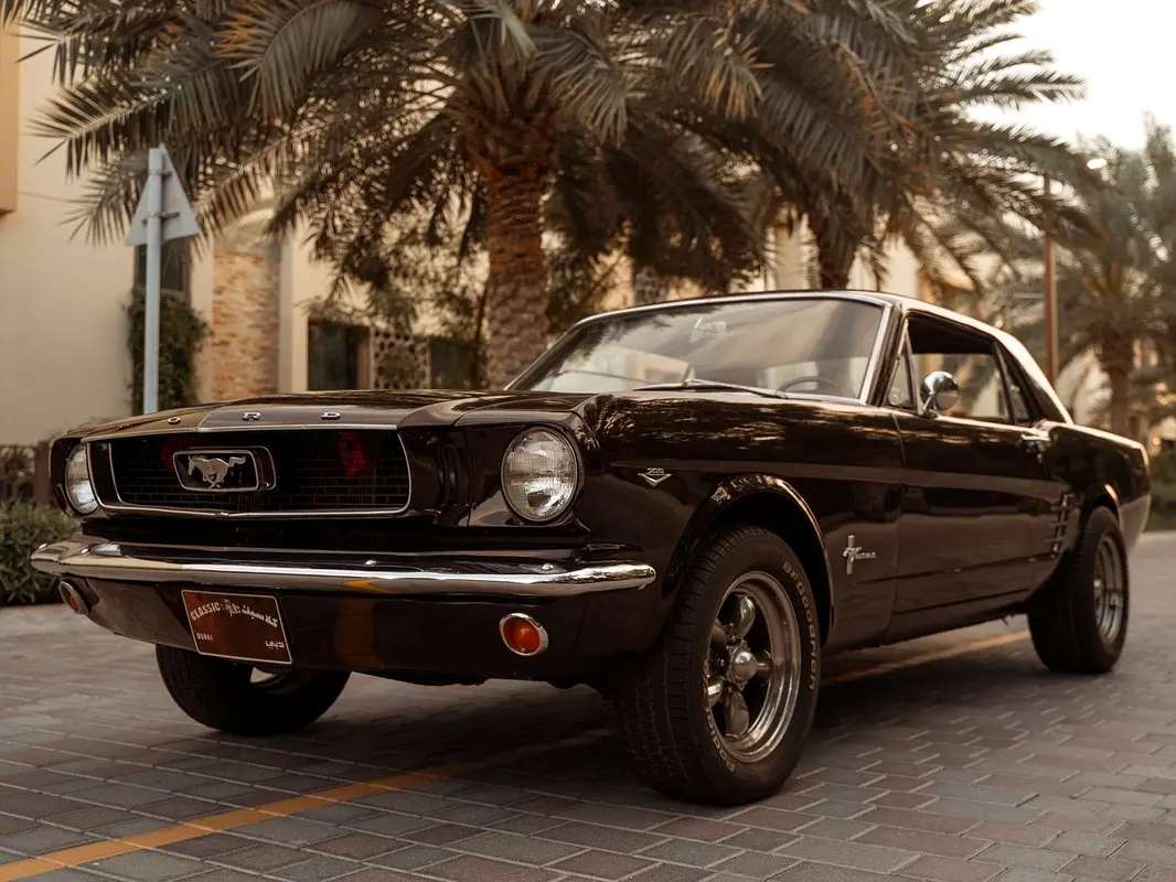 Ford Mustang 1966 — photo 1 of 20