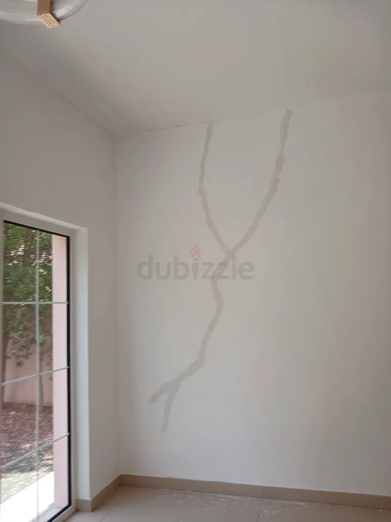DPV_View_Image_2