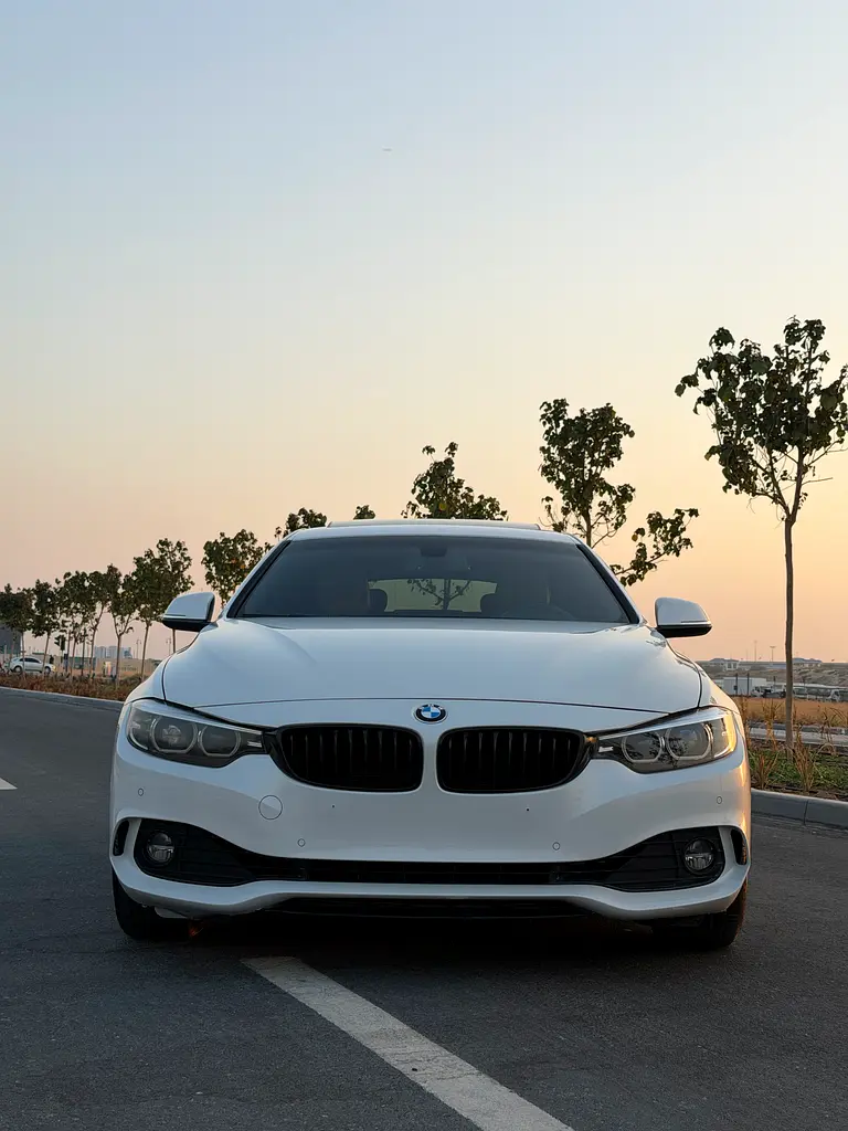 BMW 4-Series 2019 — photo 1 of 20