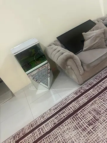 Gray sofa