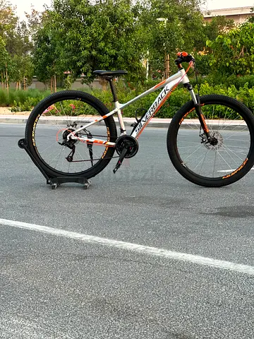 Silverback Mtb/29