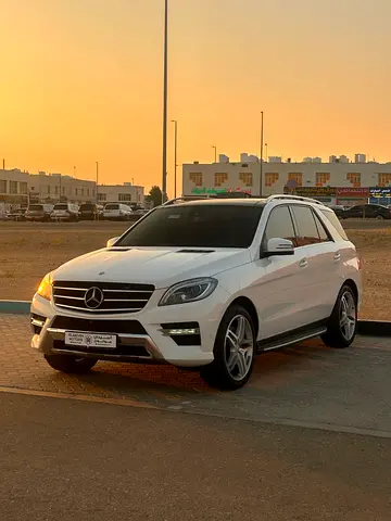 2015 Mercedes-BENZ M-CLASS 照片 5