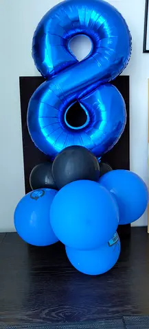 Toy