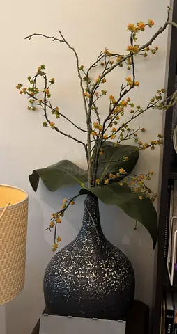 2 decorative vases with dried flowering branches