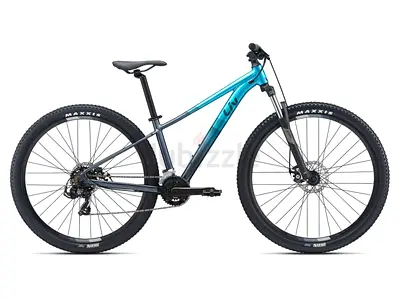 2021 Giant Tempt 3 - Great Condition