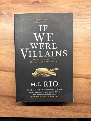 If We Were Villains