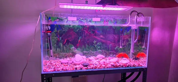 Weekaqua LED Aquarium Light Fixture -. Tank show only for illustration purpose