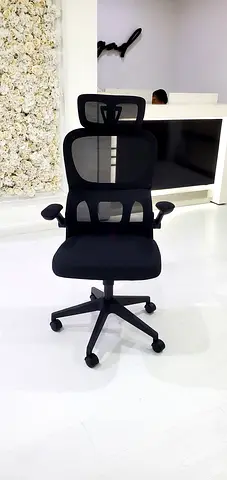 Ergonomic Black Mesh Office Chair with Headrest and Lumbar Support