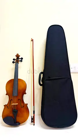 Violin