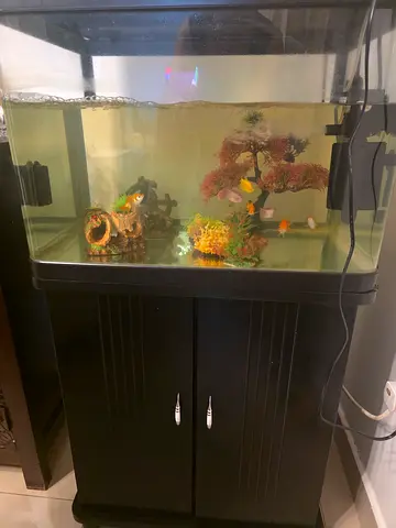 Complete Aquarium with Stand, Filter Decor, fish . Dimensions are 4ft height × 2ft width x 1.3ft de
