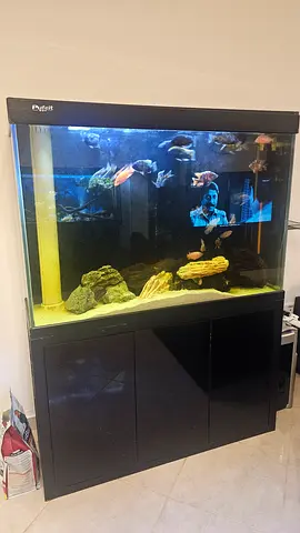Pufait Aquarium with Cabinet and Accessories