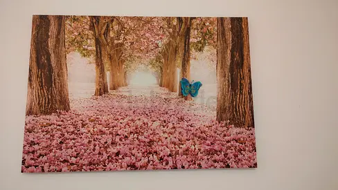 Cherry Blossom Tree Path Canvas Wall Art with Butterfly