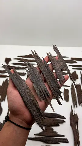 VVIP Brunei Natural Agarwood (Oud) Wood Chips - Assorted Raw Pieces