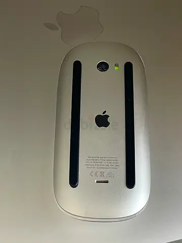Magic mouse 2