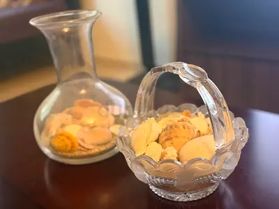 Pair of decorative glass bowls/vases with seashell filler
