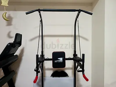 stationary pull up bar with dip station and abdominals