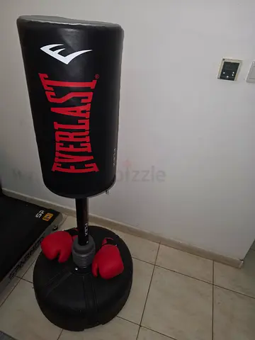 Everlast Free-standing Punching Bag with Gloves