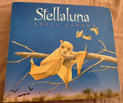 Stellaluna kids book for sale