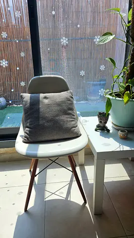 White Modern Molded Plastic Dining Chair with Wooden Legs