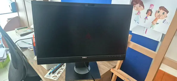 Dell 24-inch LED Monitor - Good Condition