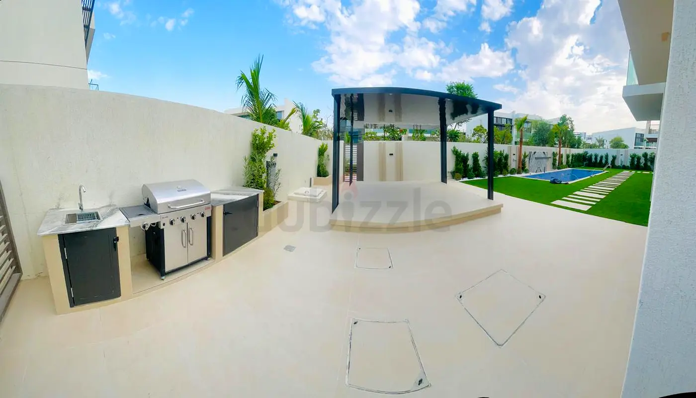 DPV_View_Image_0