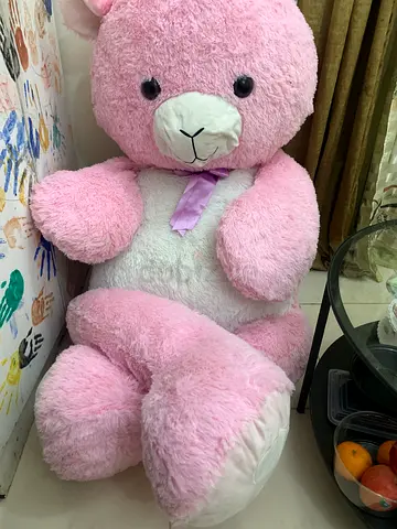 Teddy
