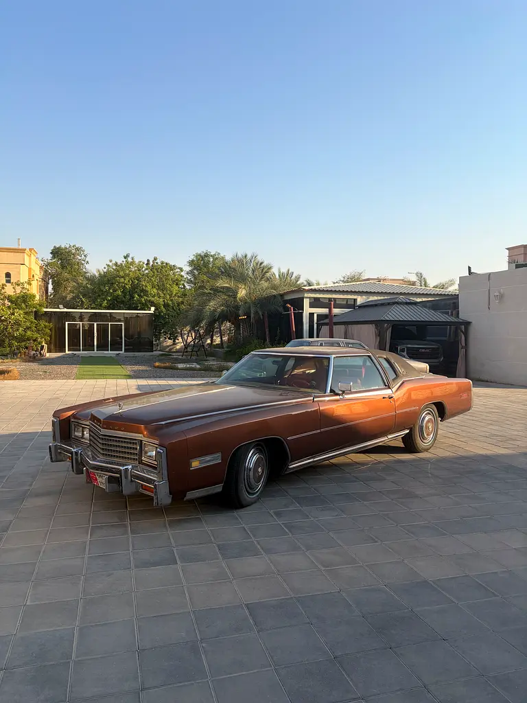 Cadillac XTR/Eldorado 1978 — photo 1 of 20