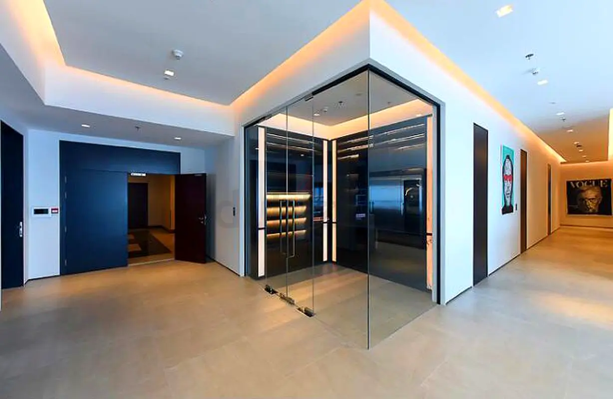 DPV_View_Image_4