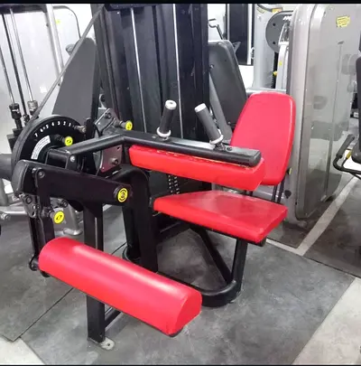 Commercial Seated Leg Extension / Leg Curl Machine - Good Condition