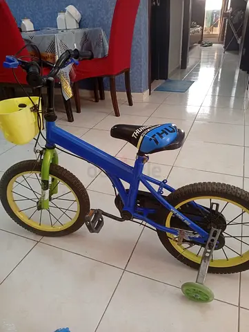 Kids 16-inch Blue  Green Bicycle with Training Wheels