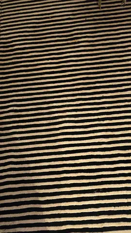Black and White Striped Area Rug - Good Condition