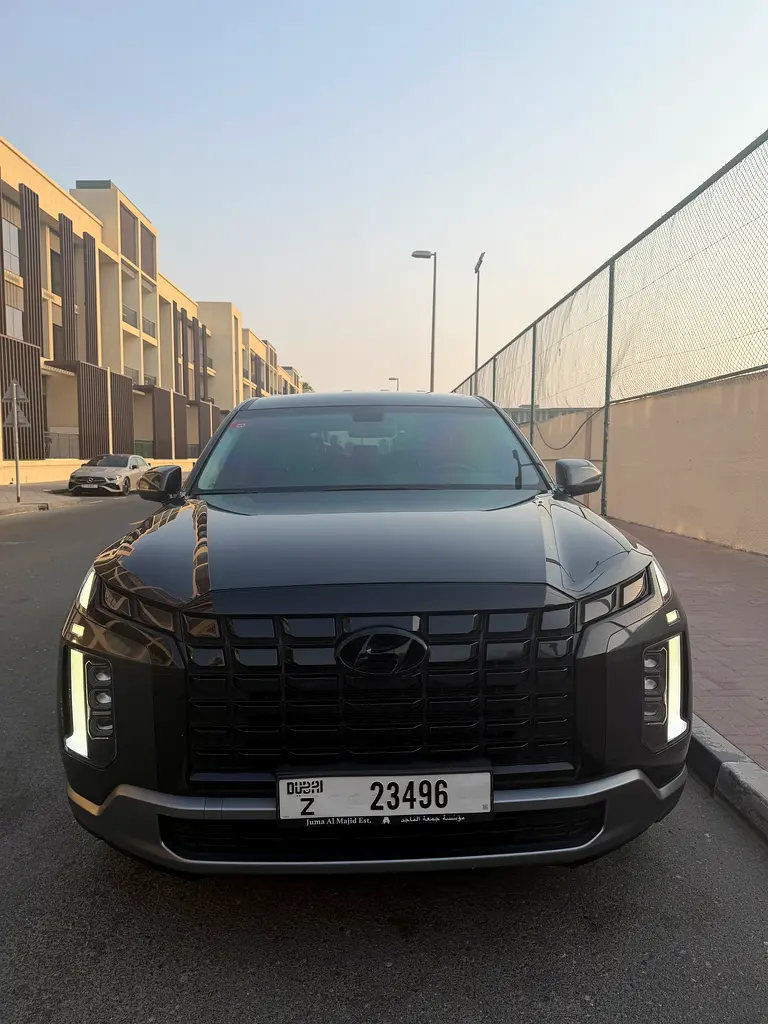 Hyundai Palisade 2023 — photo 1 of 16